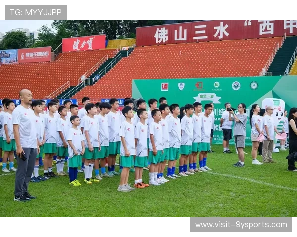 走进德甲劲旅汉堡俱乐部的辉煌历史与复兴之路百年传承与北方荣耀梦想